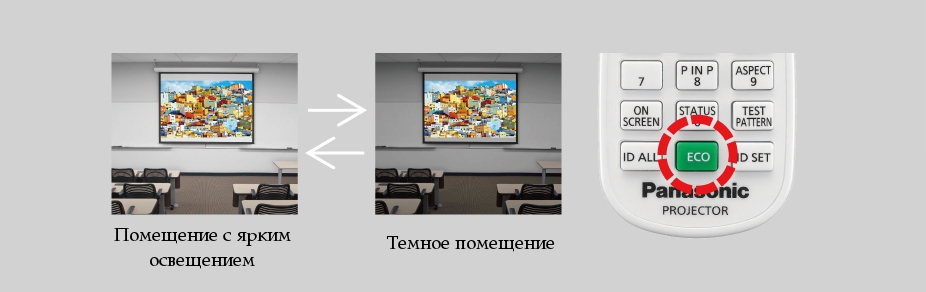 ECO Management System